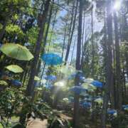 ヒメ日記 2026/05/12 12:52 投稿 なみ Hip's-group越谷本店