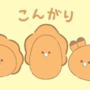 ヒメ日記 2025/08/20 22:42 投稿 さら 萌えカワ