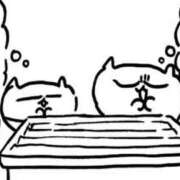 ヒメ日記 2026/01/15 22:15 投稿 さら 萌えカワ