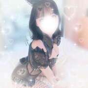 ヒメ日記 2025/07/19 08:50 投稿 ネネ バニーコレクション千葉栄町店