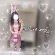 ヒメ日記 2025/08/21 18:01 投稿 ネネ バニーコレクション千葉栄町店