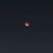 ヒメ日記 2025/09/08 09:19 投稿 ネネ バニーコレクション千葉栄町店