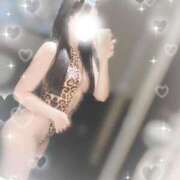 ヒメ日記 2025/11/12 00:09 投稿 ネネ バニーコレクション千葉栄町店