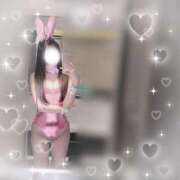 ヒメ日記 2025/12/17 12:20 投稿 ネネ バニーコレクション千葉栄町店