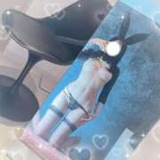 ヒメ日記 2025/12/19 07:46 投稿 ネネ バニーコレクション千葉栄町店