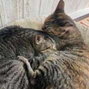 ヒメ日記 2025/11/23 10:51 投稿 一色すず なめこ治療院（横浜ハレ系）