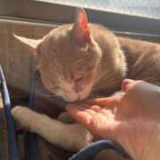 一色すず 4日はいつも通りになりました🤭 なめこ治療院（横浜ハレ系）