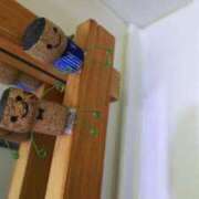 ヒメ日記 2025/06/30 23:59 投稿 こなつ ぽっちゃりデリヘル倶楽部