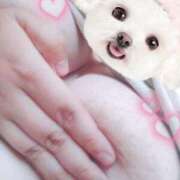 ヒメ日記 2025/08/05 13:15 投稿 こなつ ぽっちゃりデリヘル倶楽部