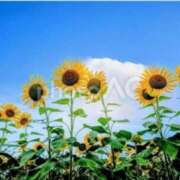 ヒメ日記 2025/07/21 09:42 投稿 倉木咲(くらきはな) 五十路マダムエクスプレス厚木店(カサブランカグループ)