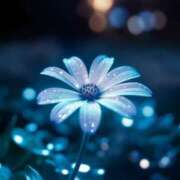 ヒメ日記 2025/07/21 17:18 投稿 倉木咲(くらきはな) 五十路マダムエクスプレス厚木店(カサブランカグループ)