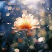 ヒメ日記 2025/07/21 17:22 投稿 倉木咲(くらきはな) 五十路マダムエクスプレス厚木店(カサブランカグループ)