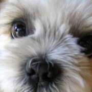 ヒメ日記 2025/07/22 18:50 投稿 倉木咲(くらきはな) 五十路マダムエクスプレス厚木店(カサブランカグループ)