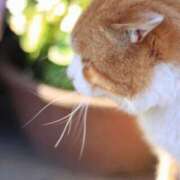 ヒメ日記 2025/07/22 18:58 投稿 倉木咲(くらきはな) 五十路マダムエクスプレス厚木店(カサブランカグループ)