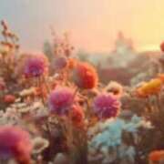 ヒメ日記 2025/07/24 08:52 投稿 倉木咲(くらきはな) 五十路マダムエクスプレス厚木店(カサブランカグループ)