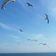 ヒメ日記 2025/07/27 10:52 投稿 倉木咲(くらきはな) 五十路マダムエクスプレス厚木店(カサブランカグループ)