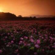 ヒメ日記 2025/07/29 20:54 投稿 倉木咲(くらきはな) 五十路マダムエクスプレス厚木店(カサブランカグループ)