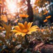 ヒメ日記 2025/08/03 20:10 投稿 倉木咲(くらきはな) 五十路マダムエクスプレス厚木店(カサブランカグループ)