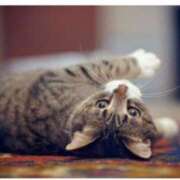 ヒメ日記 2025/08/12 20:22 投稿 倉木咲(くらきはな) 五十路マダムエクスプレス厚木店(カサブランカグループ)