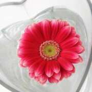 ヒメ日記 2025/08/21 10:08 投稿 倉木咲(くらきはな) 五十路マダムエクスプレス厚木店(カサブランカグループ)