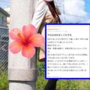 ヒメ日記 2025/08/11 10:49 投稿 近藤ひとみ 信州無限GP 総合受付 諏訪店