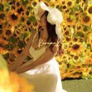 ヒメ日記 2025/07/15 16:05 投稿 胡蝶 くるみ(コチョウ クルミ) 翡翠の夢