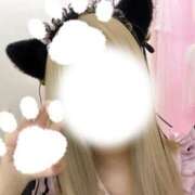 ヒメ日記 2025/09/23 14:14 投稿 せいな コンカフェ＆オナクラ ちいかの！池袋店