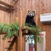 ヒメ日記 2025/07/13 21:36 投稿 椎名　みゆ CUORE(クオレ)