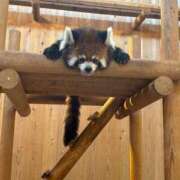 ヒメ日記 2025/09/12 18:15 投稿 椎名　みゆ CUORE(クオレ)