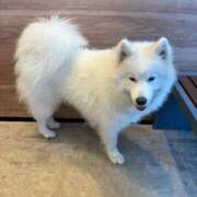 ヒメ日記 2026/01/12 19:35 投稿 椎名　みゆ CUORE(クオレ)