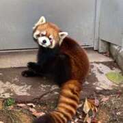 ヒメ日記 2026/03/07 18:15 投稿 椎名　みゆ CUORE(クオレ)