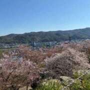 ヒメ日記 2026/04/08 20:05 投稿 椎名　みゆ CUORE(クオレ)