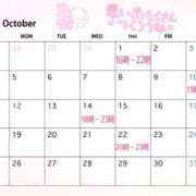 ヒメ日記 2026/10/01 12:15 投稿 椎名　みゆ CUORE(クオレ)