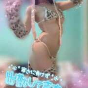 ヒメ日記 2026/02/23 07:14 投稿 藍華(あいか)【甘く癒す天使】 美魔女コレクション別府店