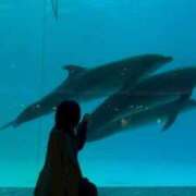 ヒメ日記 2026/06/09 07:14 投稿 藍華(あいか)【甘く癒す天使】 美魔女コレクション別府店