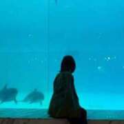 ヒメ日記 2026/07/03 07:14 投稿 藍華(あいか)【甘く癒す天使】 美魔女コレクション別府店