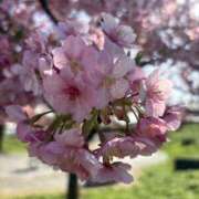 ヒメ日記 2026/03/04 11:09 投稿 りこ 上野・鶯谷スピン