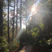 ヒメ日記 2026/03/23 11:49 投稿 りこ 上野・鶯谷スピン