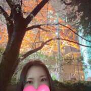 ヒメ日記 2026/03/29 22:31 投稿 永瀬芽依 プレジデントクラブ