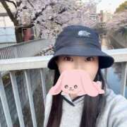 ヒメ日記 2026/03/31 20:16 投稿 永瀬芽依 プレジデントクラブ