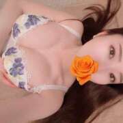 ヒメ日記 2026/04/08 08:15 投稿 永瀬芽依 プレジデントクラブ