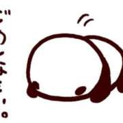 ヒメ日記 2026/08/15 16:02 投稿 永瀬芽依 プレジデントクラブ