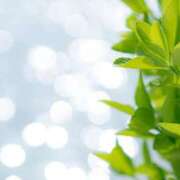 ヒメ日記 2025/07/07 10:30 投稿 のの 取手人妻快速