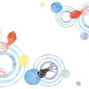 ヒメ日記 2025/07/25 13:15 投稿 のの 取手人妻快速