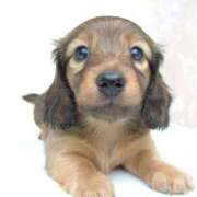 ヒメ日記 2025/07/30 12:31 投稿 のの 取手人妻快速