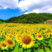 ヒメ日記 2025/08/01 11:21 投稿 のの 取手人妻快速