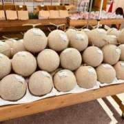 ヒメ日記 2025/08/15 23:38 投稿 のの 取手人妻快速