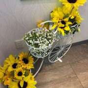 ヒメ日記 2025/08/27 23:26 投稿 のの 取手人妻快速