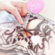 ヒメ日記 2025/12/12 07:30 投稿 のの 取手人妻快速