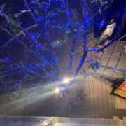 ヒメ日記 2025/12/30 01:59 投稿 のの 取手人妻快速